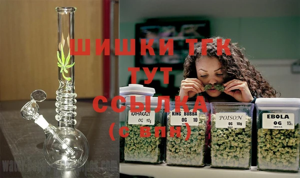 дмт Чегем