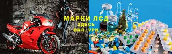 эйфоретик Чекалин