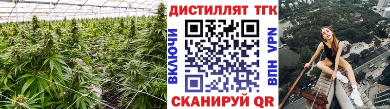 Купить где  Пучеж  Дистиллят ТГК жижа 
