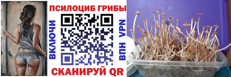 Галлюциногенные грибы MAGIC MUSHROOMS Пучеж